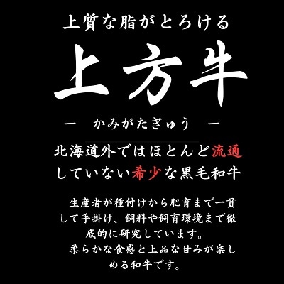 北海道十勝本別町産黒毛和牛「上方牛」ハンバーグ お試し3枚セット