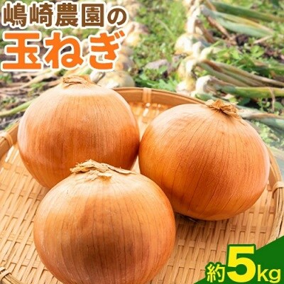 令和8年産北海道十勝本別町嶋崎農園の玉ねぎ約5kg