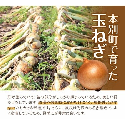 令和8年産北海道十勝本別町嶋崎農園の玉ねぎ約5kg