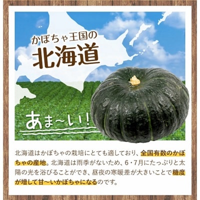 令和7年度産北海道本別町 こふき かぼちゃ 南瓜 約5kg 3～4玉
