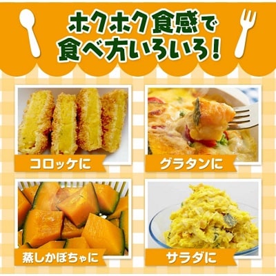 令和7年度産北海道本別町 こふき かぼちゃ 南瓜 約5kg 3～4玉