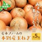 【先行受付】令和7年度産北海道十勝本別町若木ファームの玉ねぎ約5kg
