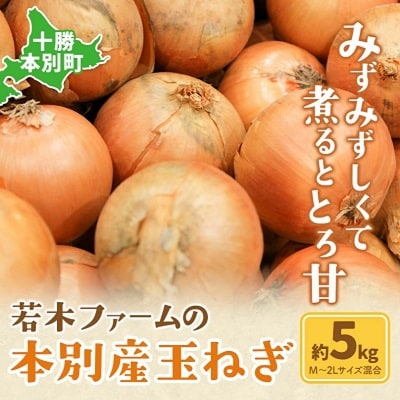 令和7年度産北海道十勝本別町若木ファームの玉ねぎ約5kg