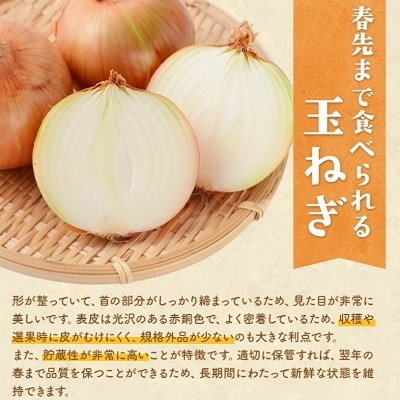 【先行受付】令和8年度産北海道十勝本別町若木ファームの玉ねぎ約5kg