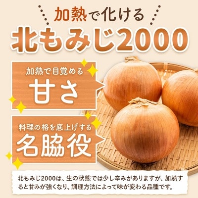 【先行受付】令和8年度産北海道十勝本別町若木ファームの玉ねぎ約5kg(北もみじ2000)