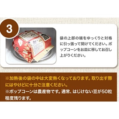 【テレビで紹介されました】北海道十勝前田農産「十勝ポップコーン　バター醤油味」10袋セット