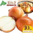 【先行受付】令和8年産北海道本別町山下農園の玉ねぎ(北もみじ2000)約10kg