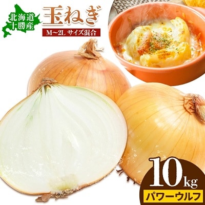 【先行受付】令和8年産北海道本別町山下農園の玉ねぎ(パワーウルフ)約10kg