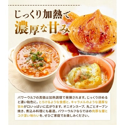 【先行受付】令和8年産北海道本別町山下農園の玉ねぎ(パワーウルフ)約10kg