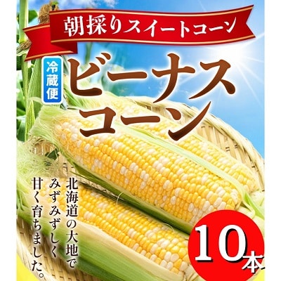 【先行受付】北海道十勝本別町産とうもろこし「ビーナスコーン」10本セット