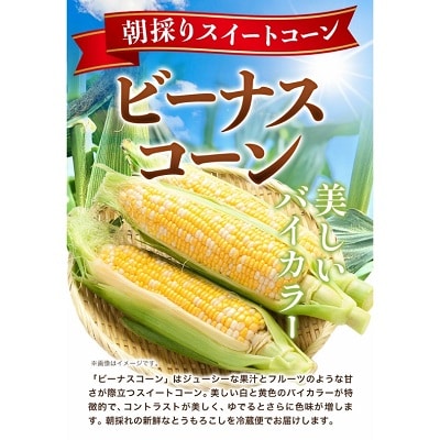 【先行受付】北海道十勝本別町産とうもろこし「ビーナスコーン」10本セット