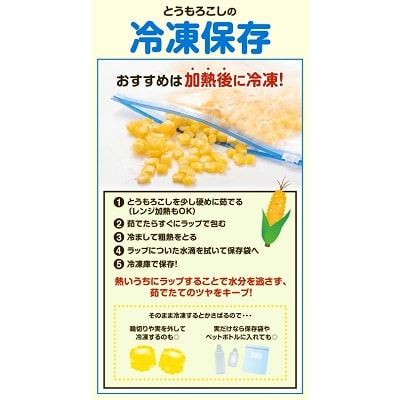 【先行受付】北海道十勝本別町産とうもろこし「ビーナスコーン」10本セット