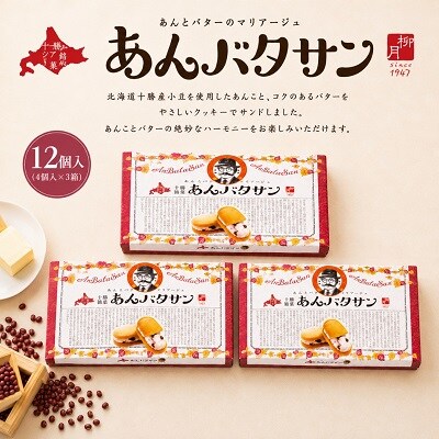 北海道十勝本別町柳月「あんバタサン」4個×3箱セット
