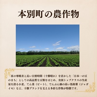 北海道十勝本別町柳月「あんバタサン」4個×4箱セット