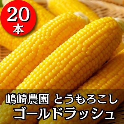 【先行受付】令和9年度産北海道十勝本別町産 嶋崎農園の朝採りとうもろこし 20本セット