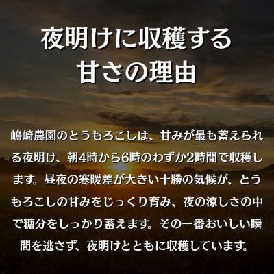 【先行受付】令和9年度産北海道十勝本別町産 嶋崎農園の朝採りとうもろこし 20本セット