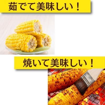 【先行受付】令和9年度産北海道十勝本別町産 嶋崎農園の朝採りとうもろこし 20本セット