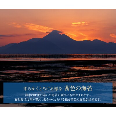 有明海苔 味海苔 大丸ボトル 8切80枚 6本セット(毎月×3回)