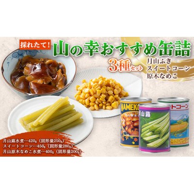 採れたて山の幸 山菜 きのこなど おすすめ缶詰3種セット(月山ふき・スイートコーン・原木なめこ)