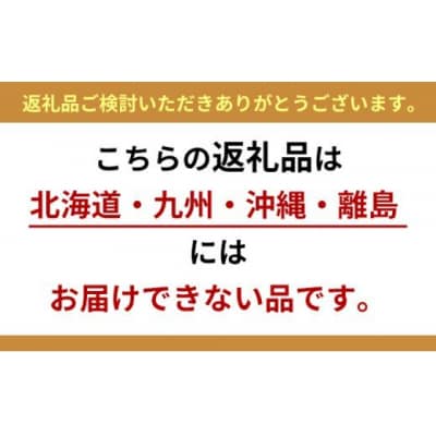 群馬の名水 箱島湧水エアL 12L×2本×10回[No.5819-0238] 