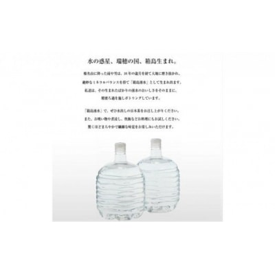 群馬の名水 箱島湧水エアL 12L×2本×10回[No.5819-0238] 