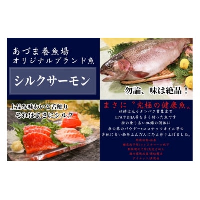 シルクサーモン漬けセット(GUNMA)[No.5819-0263]