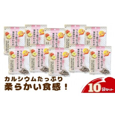 りんご酢で美味しく仕上げた無添加やわらか小魚42g　10袋セット[No.5819-0290]