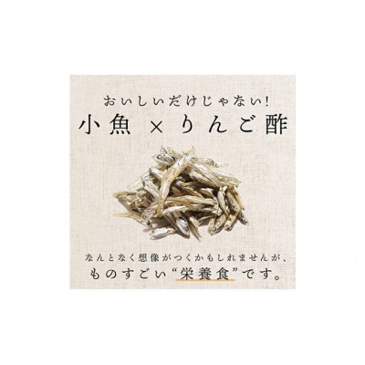「りんご酢でおいしく仕上げたやわらか小魚」42g×10袋セット[No.5819-0290]