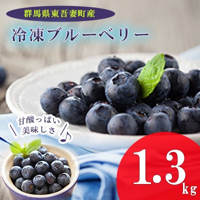 【東吾妻産】冷凍ブルーベリー 約1.3kg[No.5819-0331]
