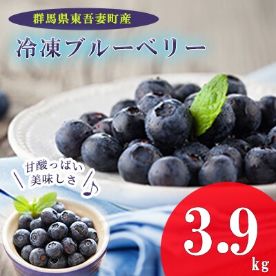 【東吾妻産】冷凍ブルーベリー 約3.9kg[No.5819-0333]