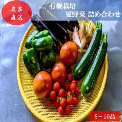 有機栽培 夏野菜 詰め合わせ 群馬県産 東吾妻 有機JAS 認証取得[No.5819-0339]