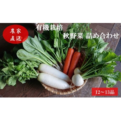 有機栽培 秋野菜 詰め合わせ 群馬県産 東吾妻 有機JAS 認証取得[No.5819-0342]