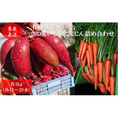 有機栽培 秋野菜 さつまいも3kg+にんじん3kg 計6kg [No.5819-0343]