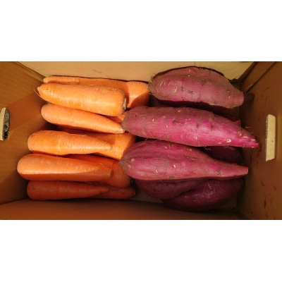 有機栽培 秋野菜 さつまいも3kg+にんじん3kg 計6kg [No.5819-0343]