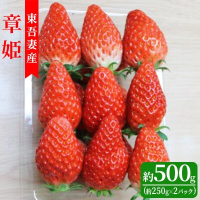 【東吾妻町産】いちご 章姫(あきひめ)約250g×2パック[No.5819-0318]