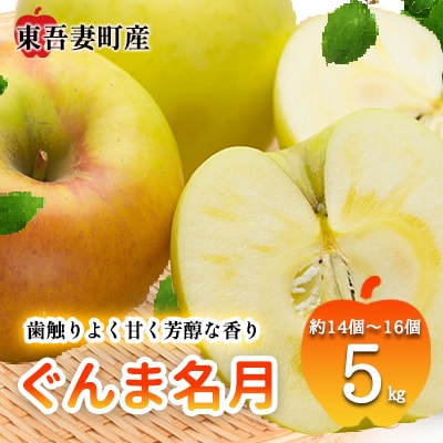 東吾妻町産 りんご ぐんま名月　5kg(14個から16個) [No.5819-0351]