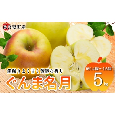 東吾妻町産 りんご ぐんま名月　5kg(14個から16個) [No.5819-0351]
