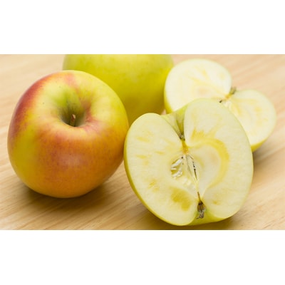 東吾妻町産 りんご ぐんま名月　5kg(14個から16個) [No.5819-0351]