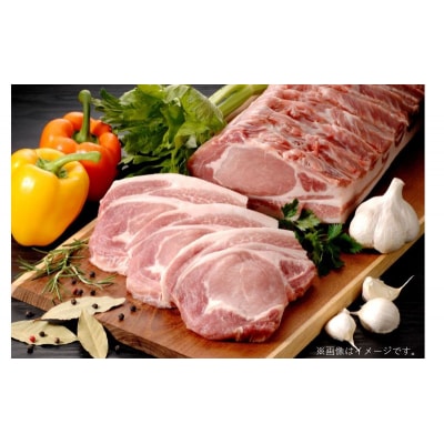 下仁田ポーク米豚ロース　しゃぶしゃぶ用 1kg(500g×2パック)[No.5819-0354]