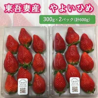 東吾妻産 いちご「やよいひめ」 約300g×2パックセット[No.5819-0368]