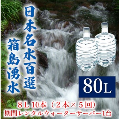 群馬の名水 箱島湧水 エア8L計10本 期間レンタル ウォーターサーバー[No.5819-0383]