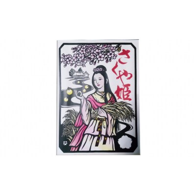 【定期便 3ヶ月】東吾妻町産 特別栽培ブランド米 さくや姫 5kg[No.5819-0346]