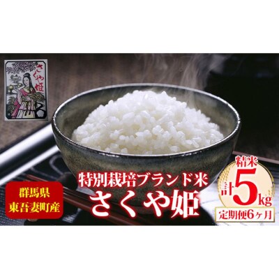 【定期便 6ヶ月】東吾妻町産 特別栽培ブランド米 さくや姫 5kg[No.5819-0347]