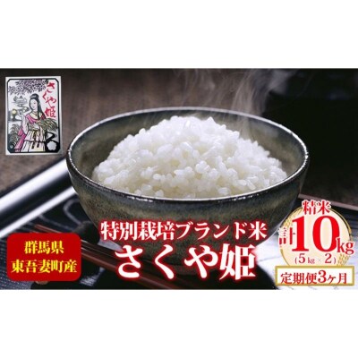 【定期便 3ヶ月】東吾妻町産 特別栽培ブランド米 さくや姫 10kg[No.5819-0348]
