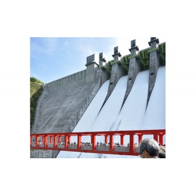 【令和7年5月24日(土)開催】八ッ場ダム点検大放流フェス入場券[No.5819-0389]