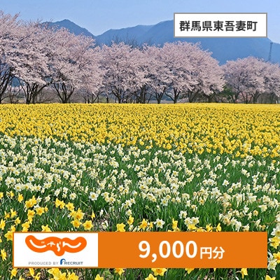 【じゃらんふるさと納税クーポン】 群馬県東吾妻町でつかえる9,000円 クーポン