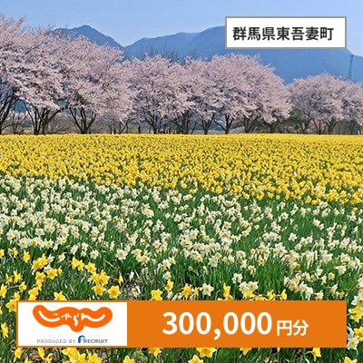 【じゃらんふるさと納税クーポン】 群馬県東吾妻町でつかえる300,000円 クーポン