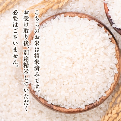 令和7年産 青天の霹靂5kg