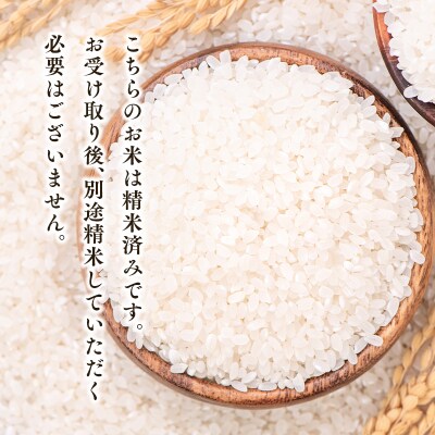 令和7年産 青天の霹靂5kg