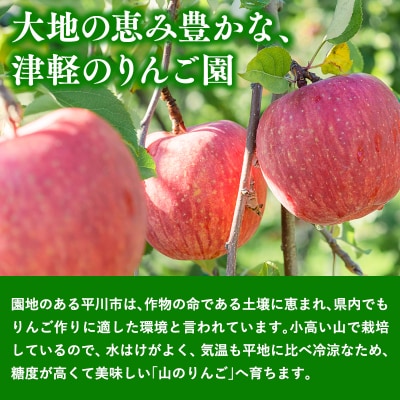 王林ブレンド津軽甘(かん)ジュース1L×6本入り